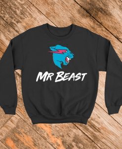 Kids Mr Beast merch Mr Beast youth hoodie