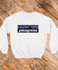 Patagonia Sweatshirt