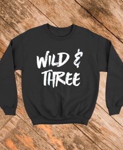 Wild and Three 3rd Birthday Sweater