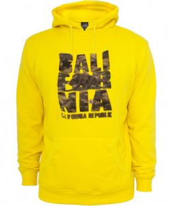 California Republic Hoodie