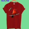 Scarlet-David-BOYS-T-Shirt