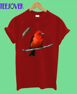 Scarlet-David-BOYS-T-Shirt