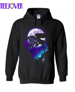 Soul of the Nightfury Hoodie