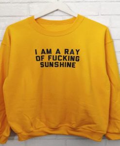 I am a ray of fucking sunshine sweatshirt