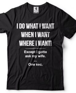 I Do What I Want When I Want Where I Want Except I Gotta Ask My Wife Funny t-shirt