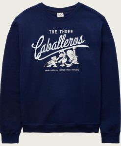 Tigers sweatshirt