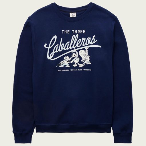 Tigers sweatshirt