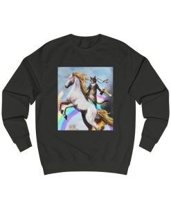 Crazy Cat Unicorn Rainbow Novelty sweatshirt