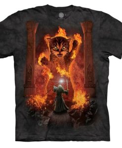 The Mountain Cat Gandalf You Shall Not Pass Fire Kitten Wizard Kitty t-shirt