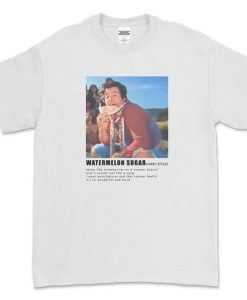 Harry Styles Watermelon Sugar Lyrics t-shirt